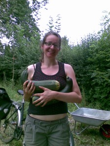 Bild031